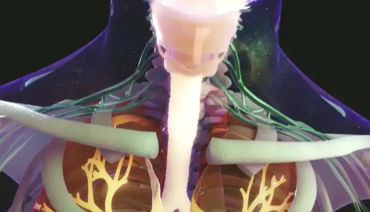 Tempat Pengobatan Asma di Tangerang dan Palembang Terpercaya