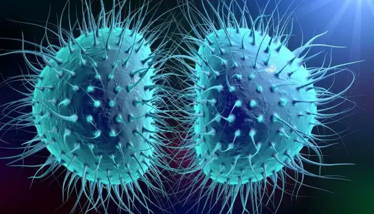 Tempat Pengobatan Infeksi Meningitis di Pekanbaru dan Bekasi dengan Cara Alternatif