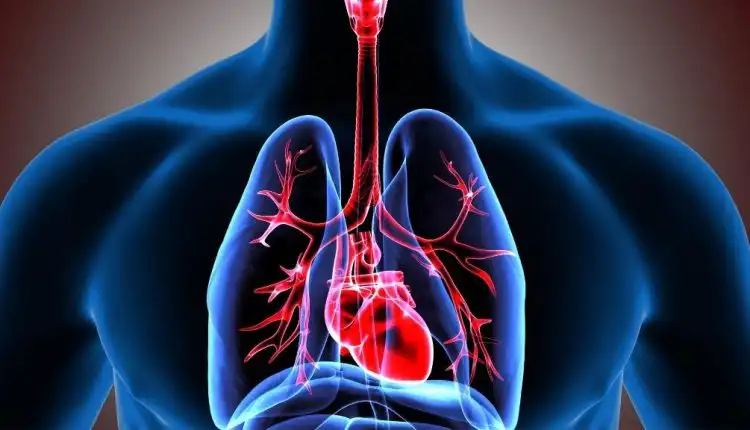 Tempat Pengobatan Paru-Paru Lemah di Bintaro Paling Mujarab