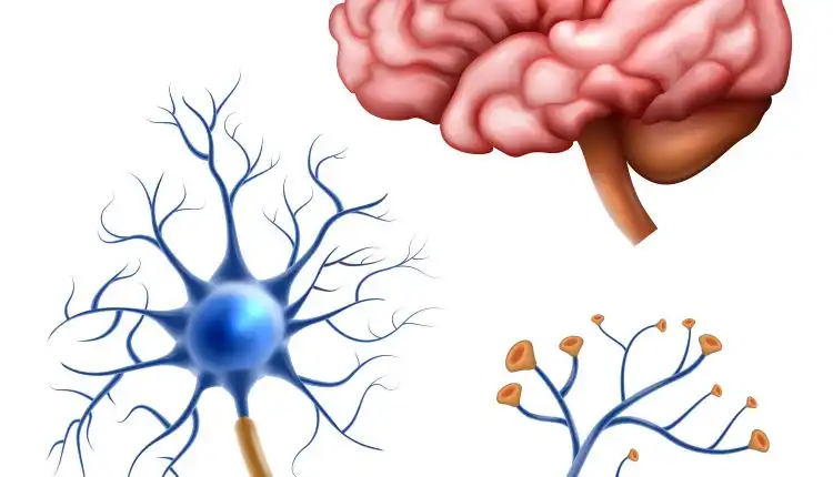 Challenge Viral yang Membahayakan Saluran Pernapasan