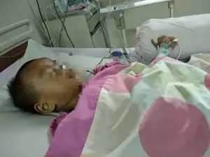 Ciki Ngebul yang Punya Sensasi Dingin Ternyata Menyimpan Bahaya Tersembunyi