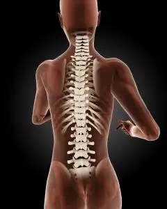 Fakta Di Balik Pentingnya Tulang Belakang Saat Terbentur