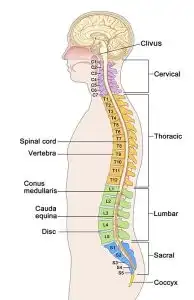 syaraf kejepit medical hacking