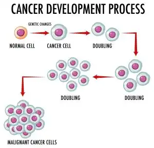Sering Minum Manis Awas Bisa Memicu Berbagai Kanker