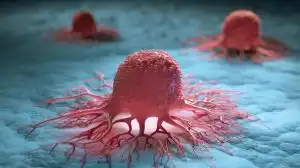 Gara-Gara Tren Minum 2 Botol Sirup Pemuda Ini Bisa Terkena Diabetes Hingga Kanker