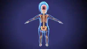 tulang syaraf medical hacking