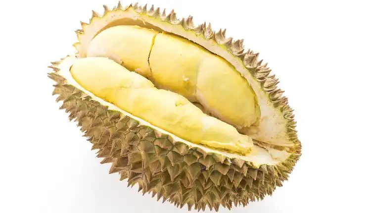 Bahaya Doyan Makan Durian Buat Kesehatan