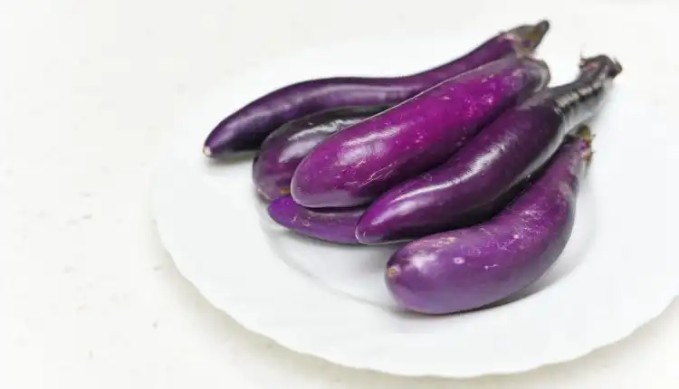 Obat Alami dalam Satu Kemasan Praktis Menurunkan Kolesterol