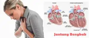 Perjuangan Ibu Dalam Pengobatan Pembengkakan Jantung