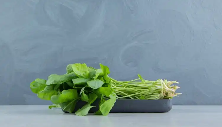 Sayuran Murah dan MUdah Ditemukan Ini Bisa Atasi Kanker